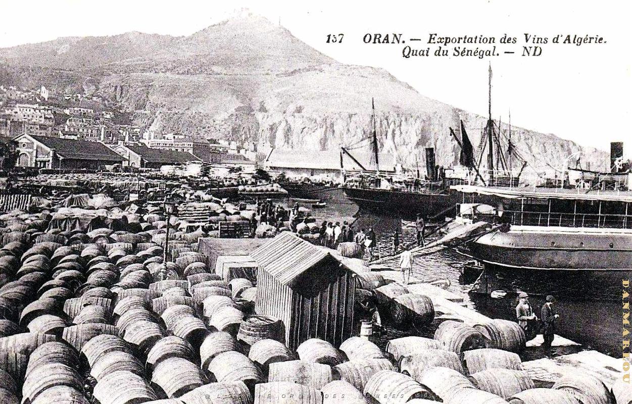 2660- Oran - Quai du Senegal - Exportations Vins.jpg